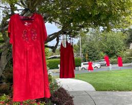 red dress hanging from a tree